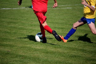 中国田径队在世界舞台上表现优异，奖牌不断，中国田径队排名